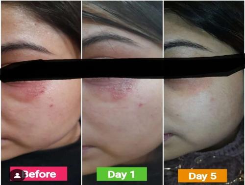 WhatsApp-Image-2024-12-10-at-2.22.28-PM